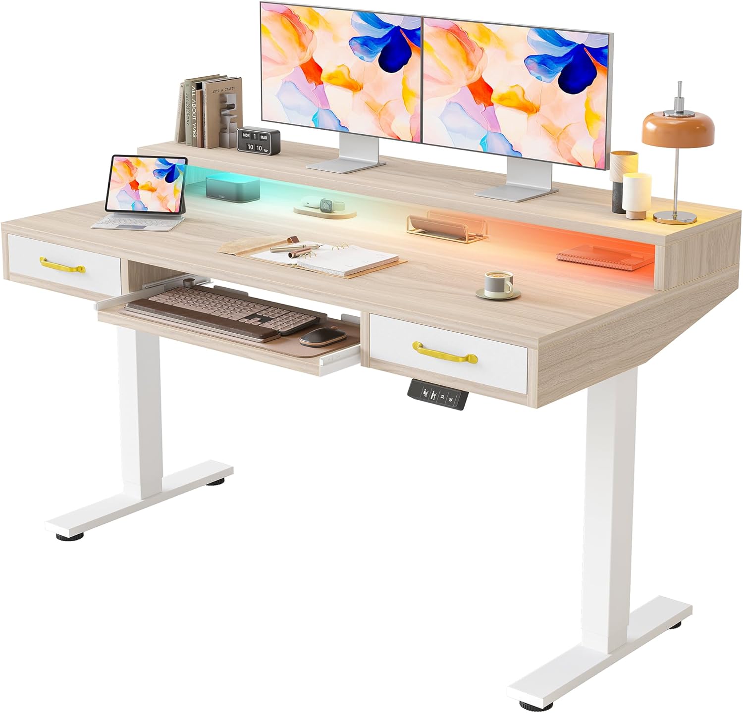 TIQLAB Standing Desk 55×28 inch LED with Drawers