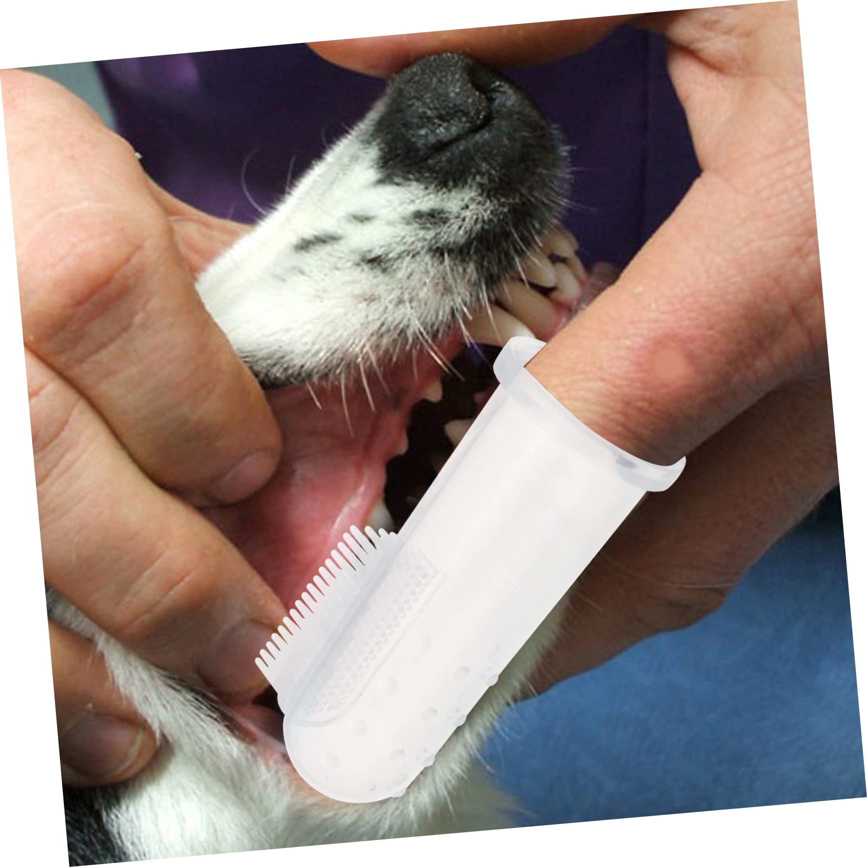 WOONEKY 30sätze Fingerzahnbürsten Für Haustiere Teiliges Zahnreinigung Für Hunde Und Katzen Bequemes Design Massage Zahnfleischs Mundpflege