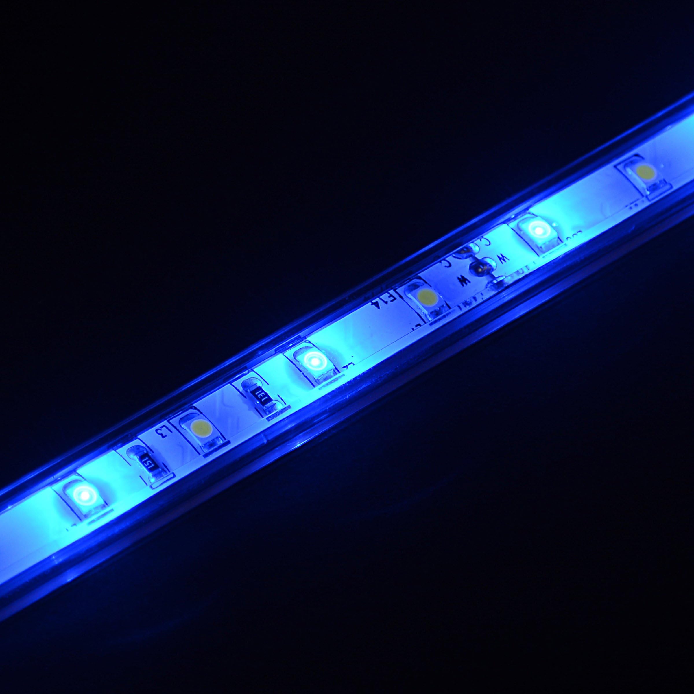 Overton's 12' Flex Track LED Light Kit