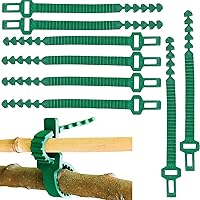 Vista 1 de 8 bandas de soporte para estacas de árbol, correas de árbol para estacas, entrelazado ajustable resistente, reutilizables, para plantas de jardín