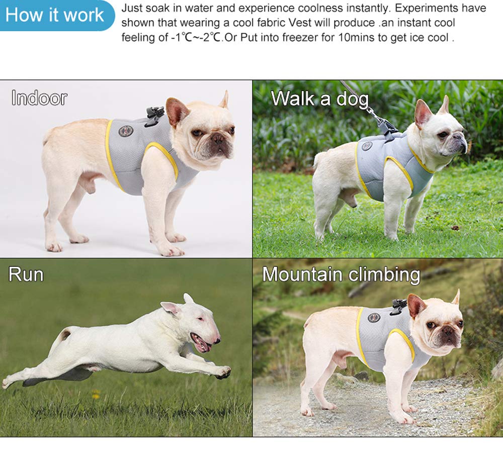 Hund Kühlgeschirr Sommer Mesh Verstellbar Hund Kühlweste Jacke Outdoor Sonnenfest Haustier Mäntel für Kleine Mittlere Große Hunde (M)