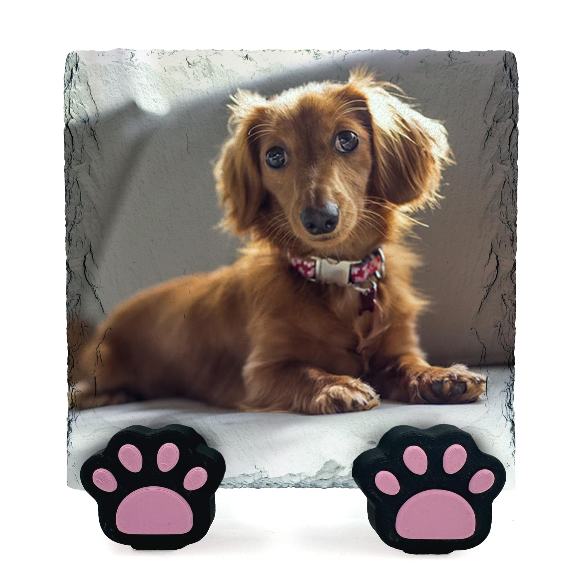 AMAZING Personalised Pet Memorial Square Plaque with Photo and Text Heart Slate for Dog Cat with Paw Display Stand - Size 15x15 cm