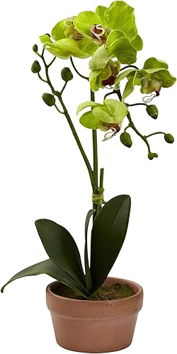 Miniatura 3 de Nearly Natural Orquídea Phalaenopsis con jarrón de arcilla (juego de 4)