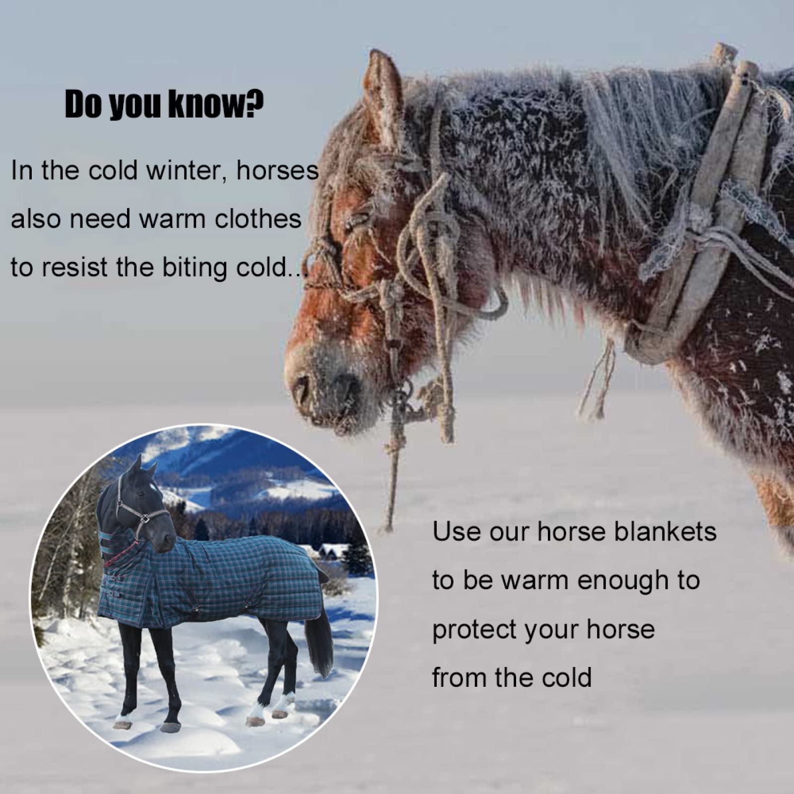 Peso del caballo Turnout Alfombra, Jersey De Caballo Conjunto Engrosado A Cuadros Azules, Manténgase Abrigado En Invierno, con Cuello No Desmontable Jersey De Caballo Manta Exterior De Tejido Ripstop
