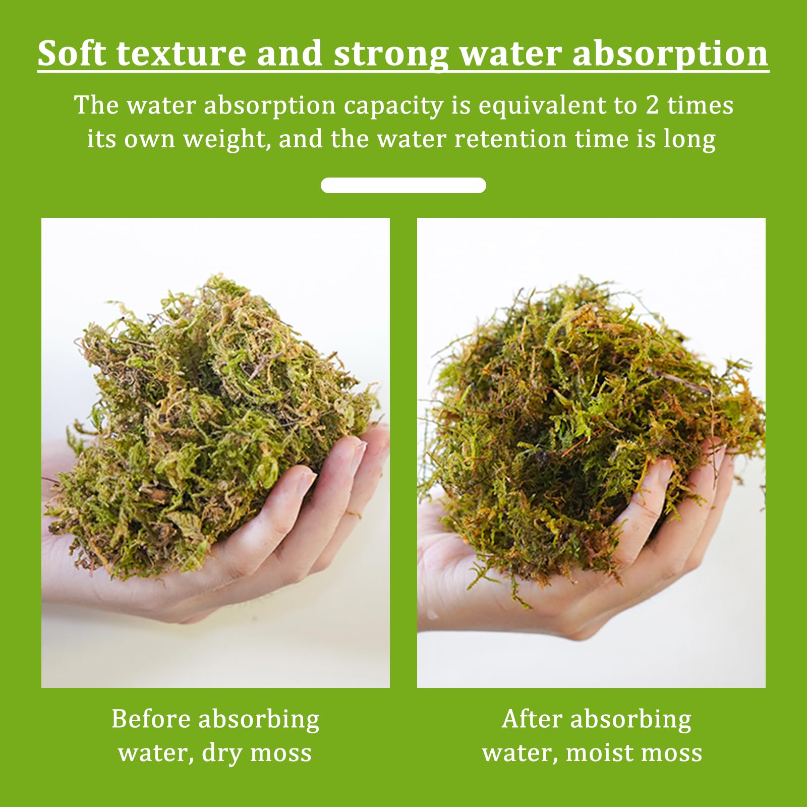 Musgo Natural Seco 200g | Musgo Sphagnum para Plantas, Orquídeas y Terrarios | Sustrato Natural para Bonsáis, Reptiles y Decoración de Jardín