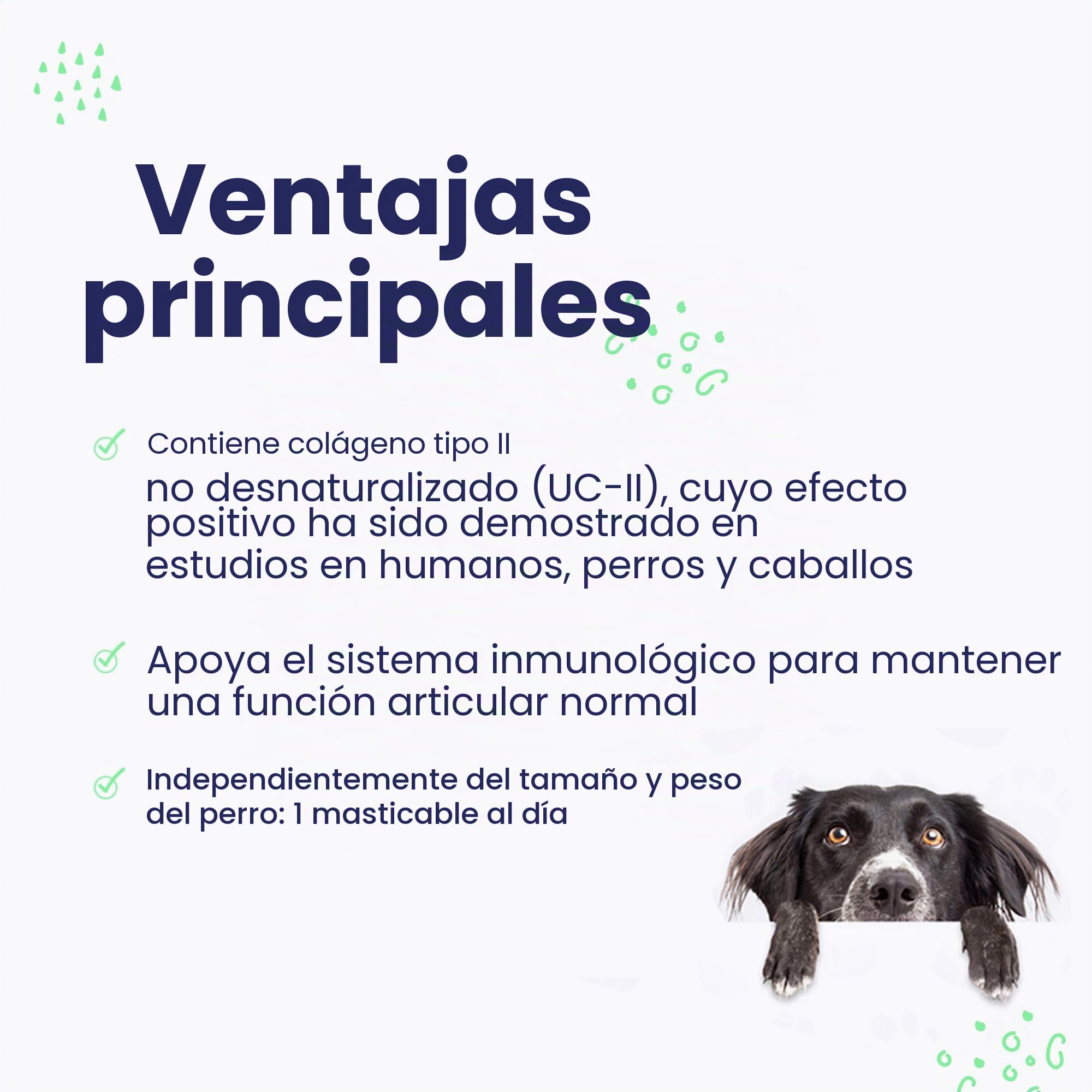 Flexadin Advanced para perros | Paquete doble | 2 x 60 Chews | Complemento alimenticio para apoyar la salud articular | Con colágeno inmunoactivo, Omega-3 y vitamina E