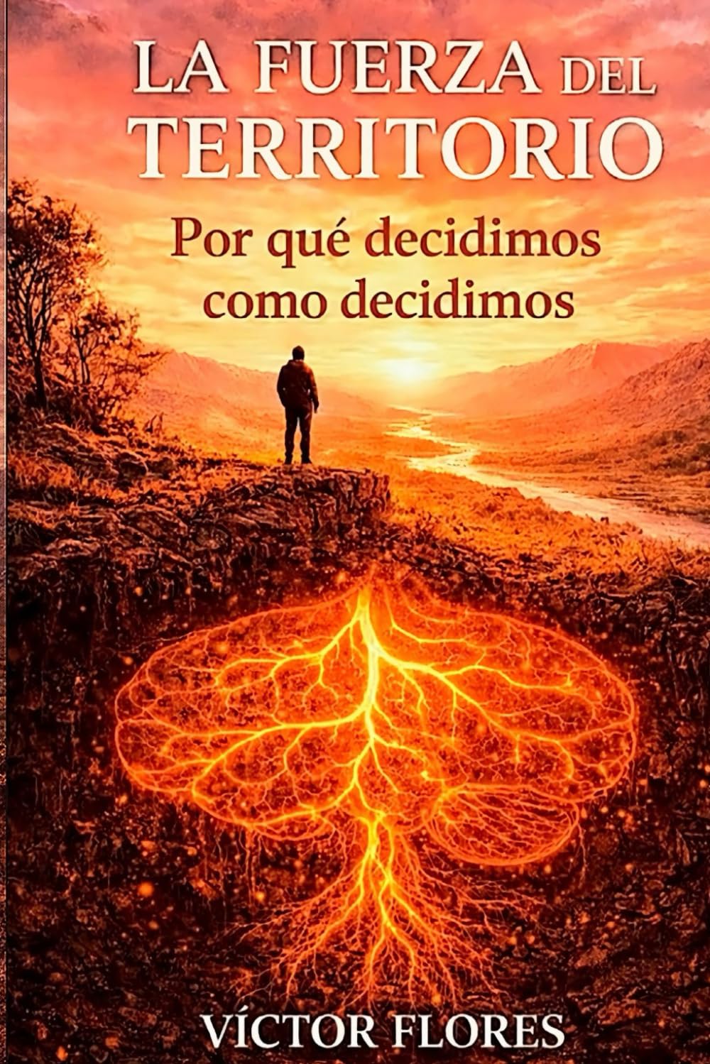 La Fuerza del Territorio: Por qué decidimos como decidimos