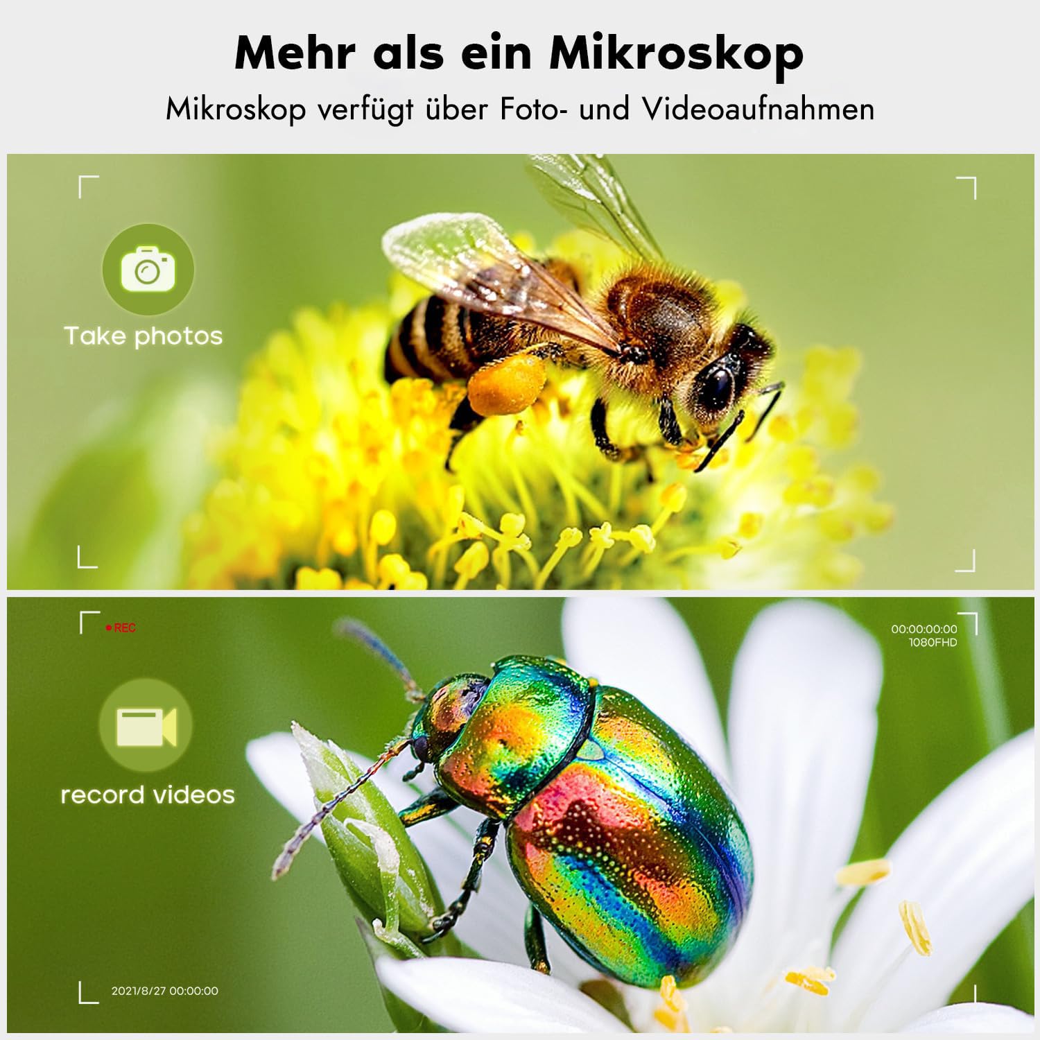 Leipan 7" LCD Mikroskop Digital 1200X mit Bildschirm, 12MP USB Microscope für 1080P Video, inkl., Beleuchtung & Fernbedienung, Kompatibel mit Windows/Mac OS