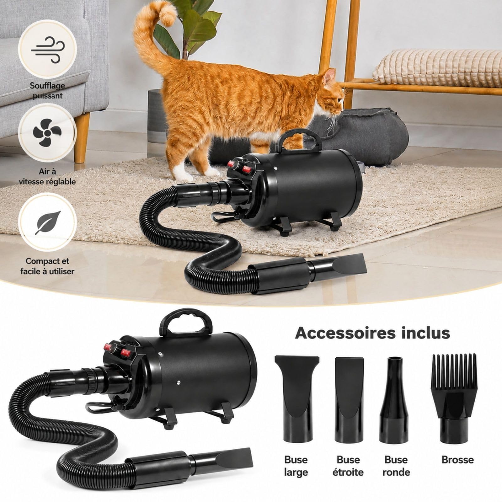 Souffleur séchoir pour chien 2000 W, vitesse d'air 70 m/s réglable, température ajustable, 4 buses, tuyau extensible, toilettage des animaux, noir, fer et ABS