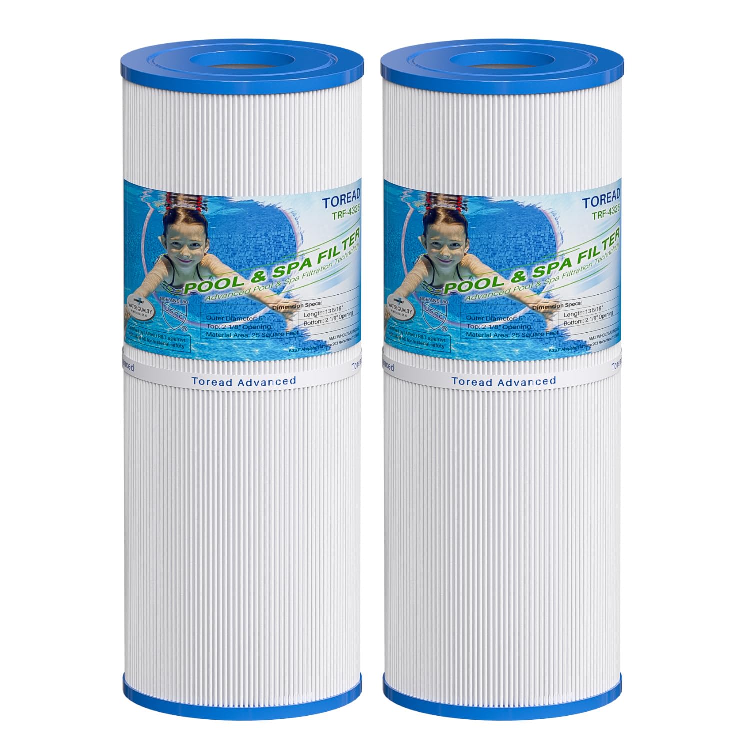 2 Filtri Acqua Per SPA Compatibili Con SC704, 42513, C-4326, RD25, PRB25-IN, FC-2375