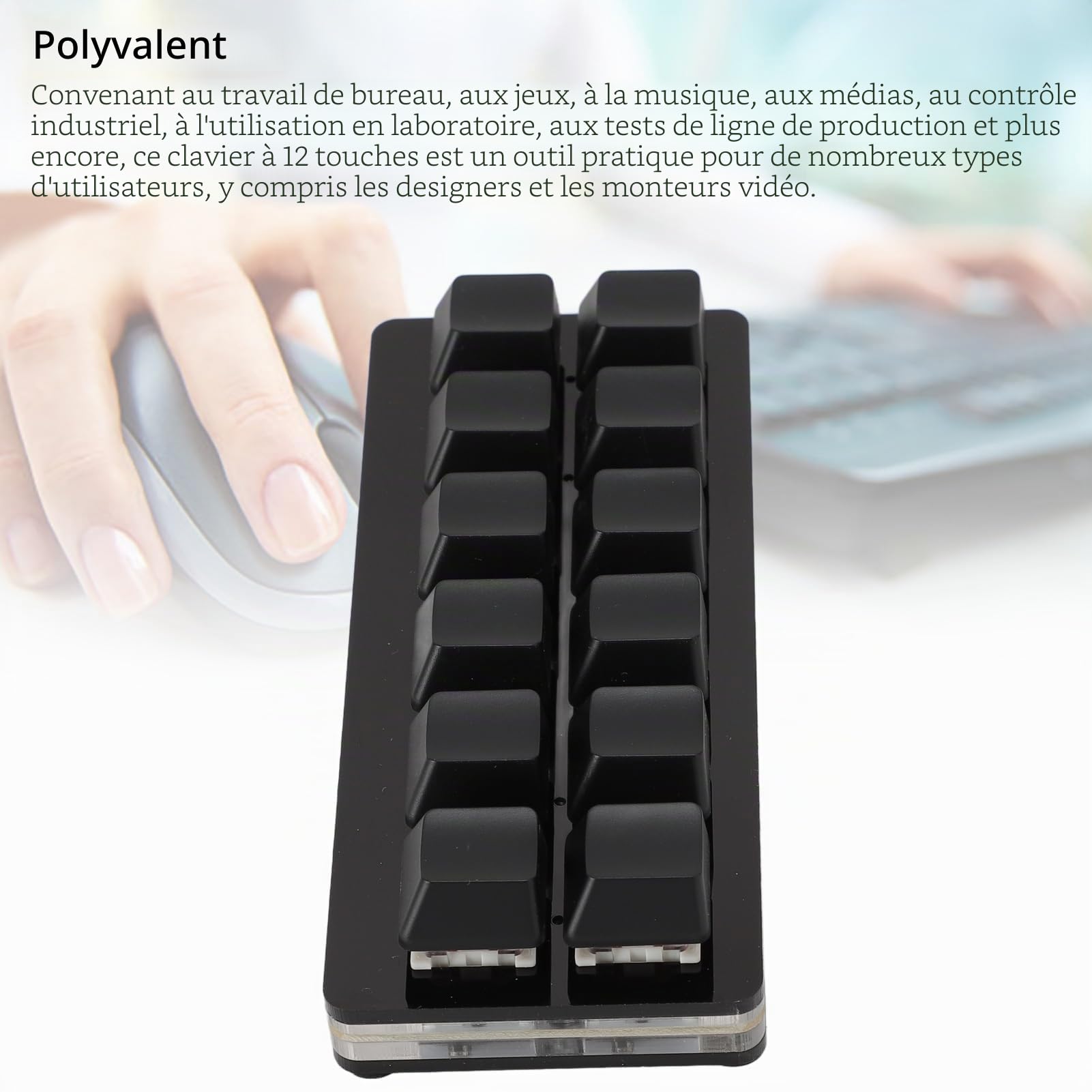 Dpofirs Clavier de Jeu Mécanique à 12 Touches, Claviers de Jeu PC RVB, Clavier Mécanique à Une Main, Clavier Filaire, Clavier Programmable et échangeable à Chaud (Black)