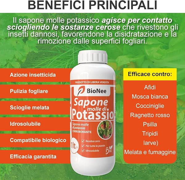 Potassium Soft Soap - Natural and Organic Protection for Healthy and Lush Plants - Natural Organic Insecticide - Invigorating - 1
