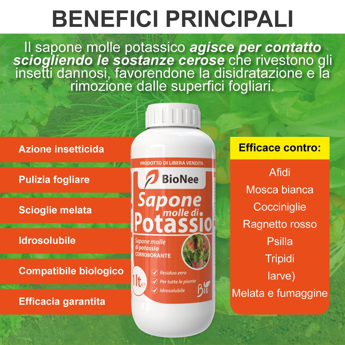 Sapone Molle di Potassio – Protezione Naturale e Biologica per Piante Sane e Rigogliose - insetticida naturale biologico - corroborante potenziatore delle difese naturali (1 litro)