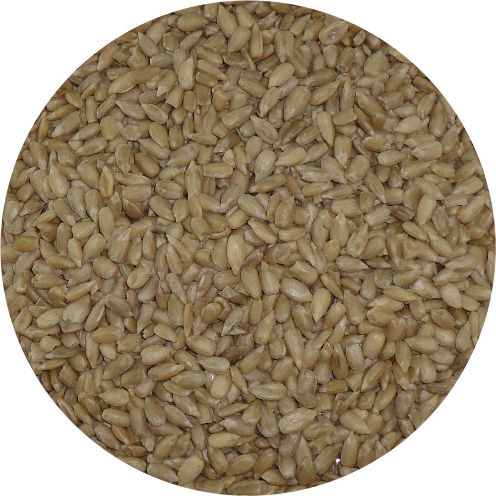 SUNFLOWER HEARTS - WILD BIRD SEED - COCKATIELS - PARROTS - 500 G