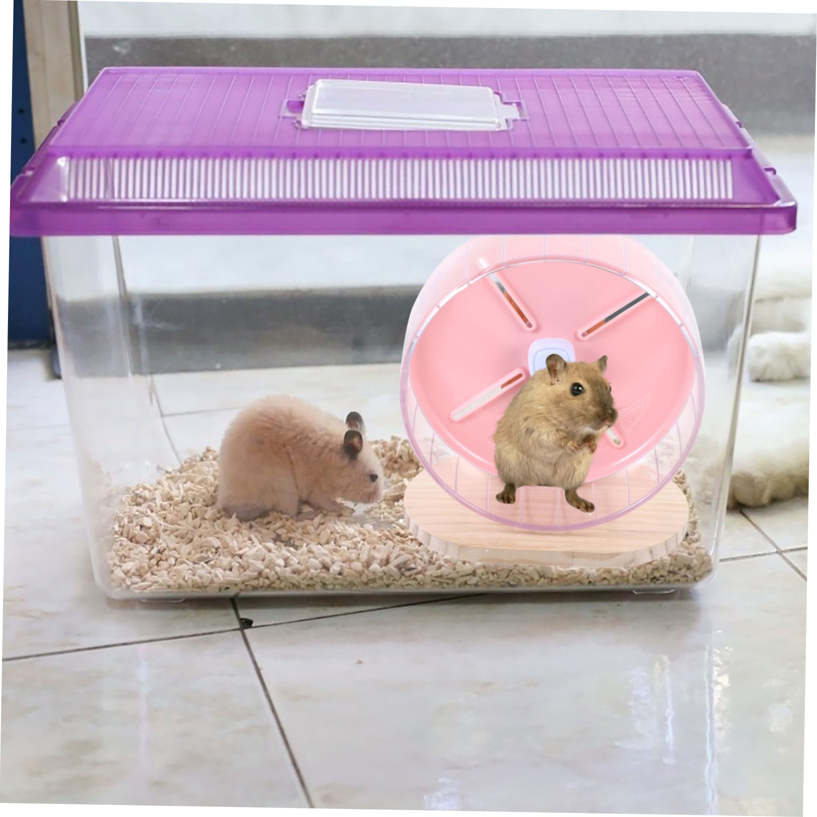 Abaodam Ruota da Corsa Silenziosa per Criceti 20cm Base in Legno e Abs Giocattolo per Piccoli Animali Allenamento e Gioco per Hamster