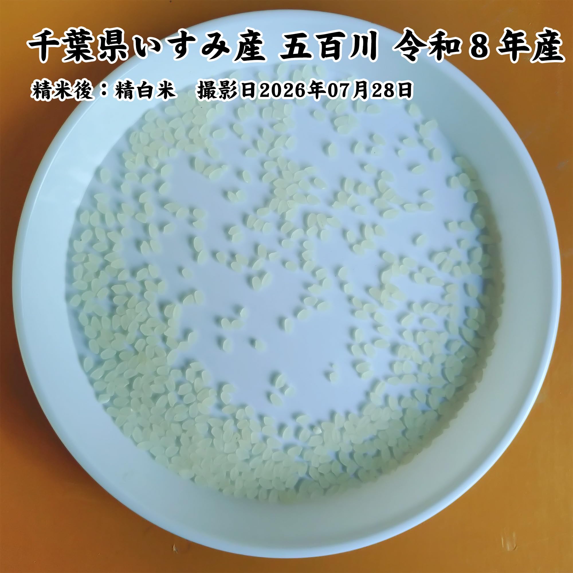 Amazon.co.jp: 千葉県いすみ市産 五百川 令和8年産 白米 10kg : 食品