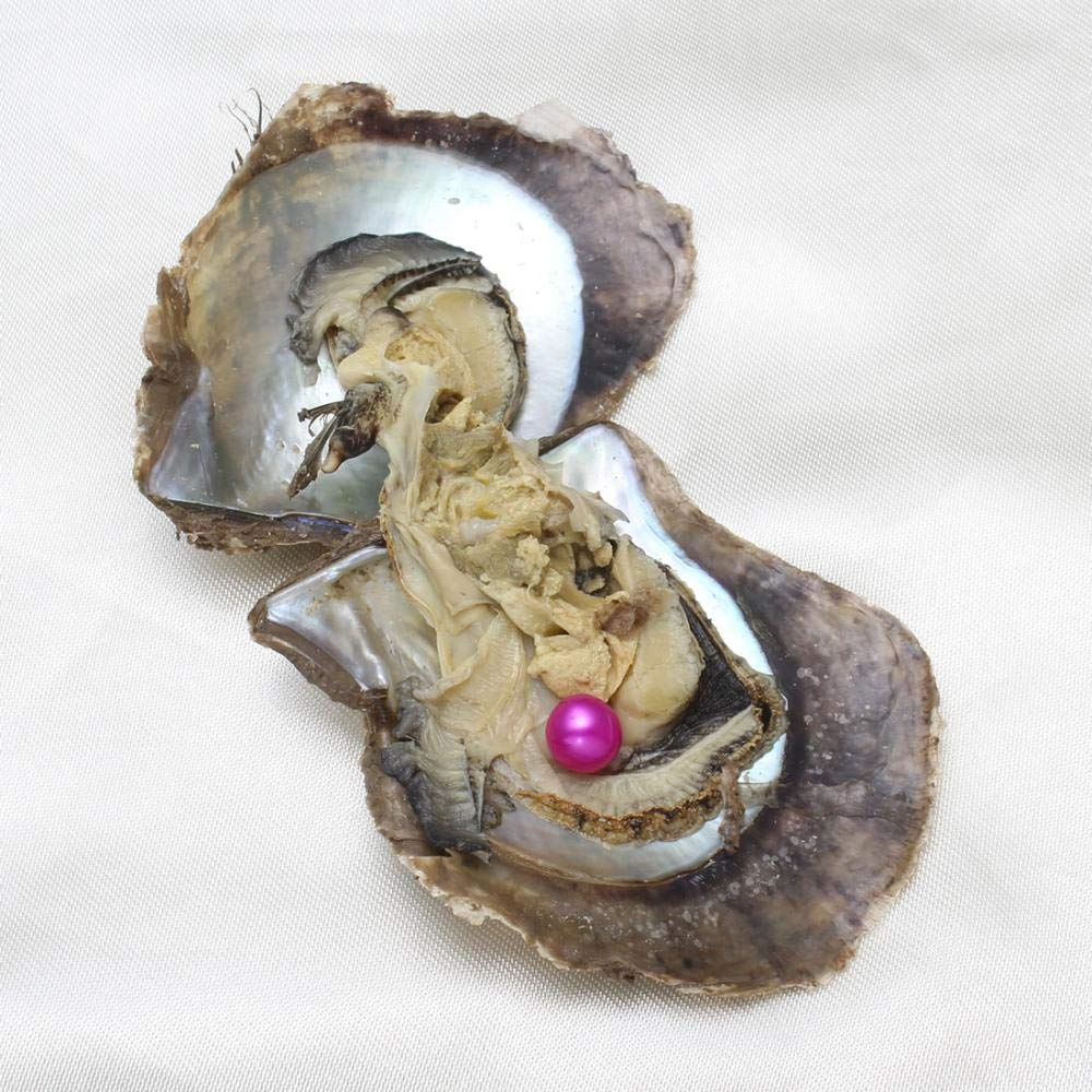 Perlas Y Colores - Pendientes Akoya Culture Pearls