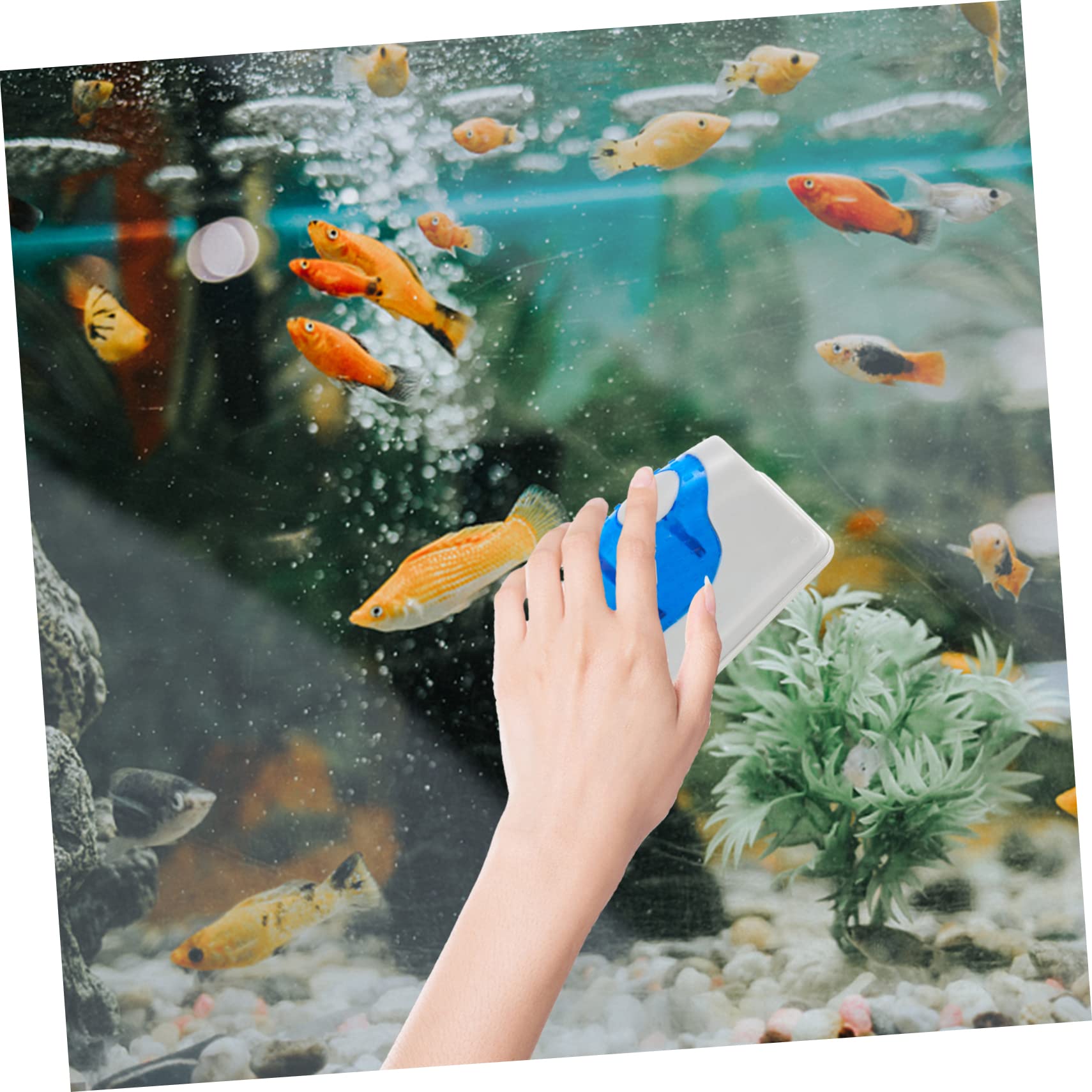 Mipcase 2stücke Magnetische Aquarium-reinigungsbürste Effektives Reinigungswerkzeug Für Fischglasbecken Schwimmend Mit Abnehmbarem Schaber Für Mühelose Von Algen Und Schmutz Im