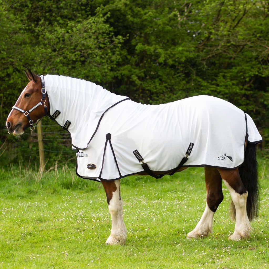 Gallop Dual Fly Rug & Neck Set, 6ft0