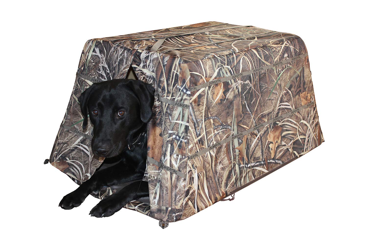 Beavertail Dog BlindQ