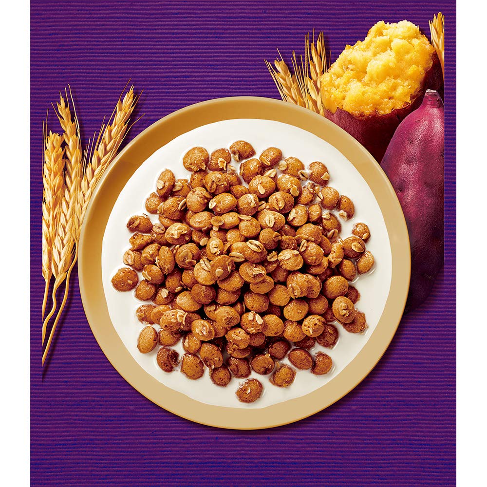 Amazon.co.jp: 日清シスコ シスコウェルネス 1日分の食物繊維 200g ×6