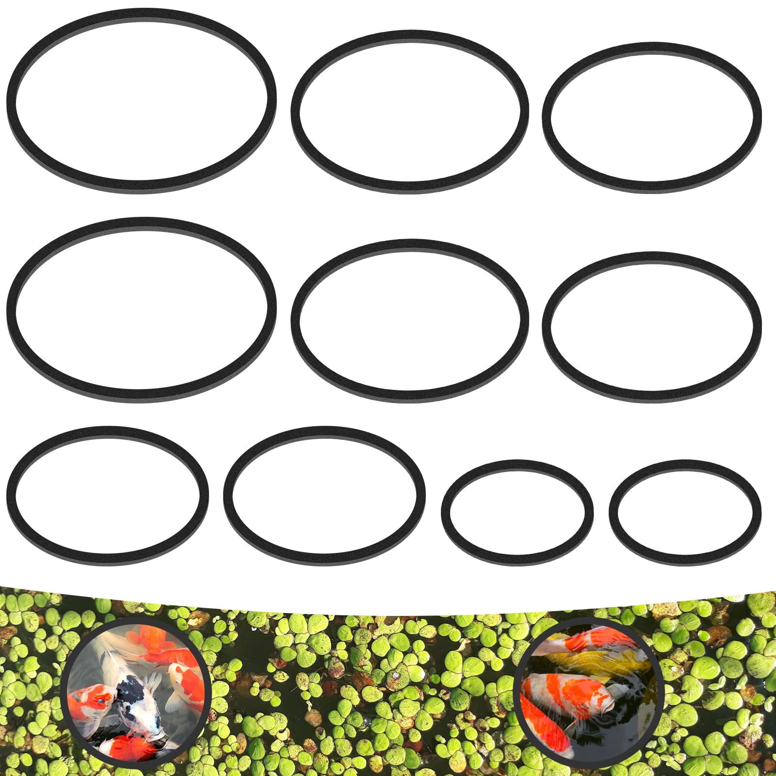 10 Pcs Fish Feeding Rings Set 5 Sizes Aquarium Round Feeder Ring for Fish Tank Aquarium Floating Plant Corral for Intercepts Floating Plants Black