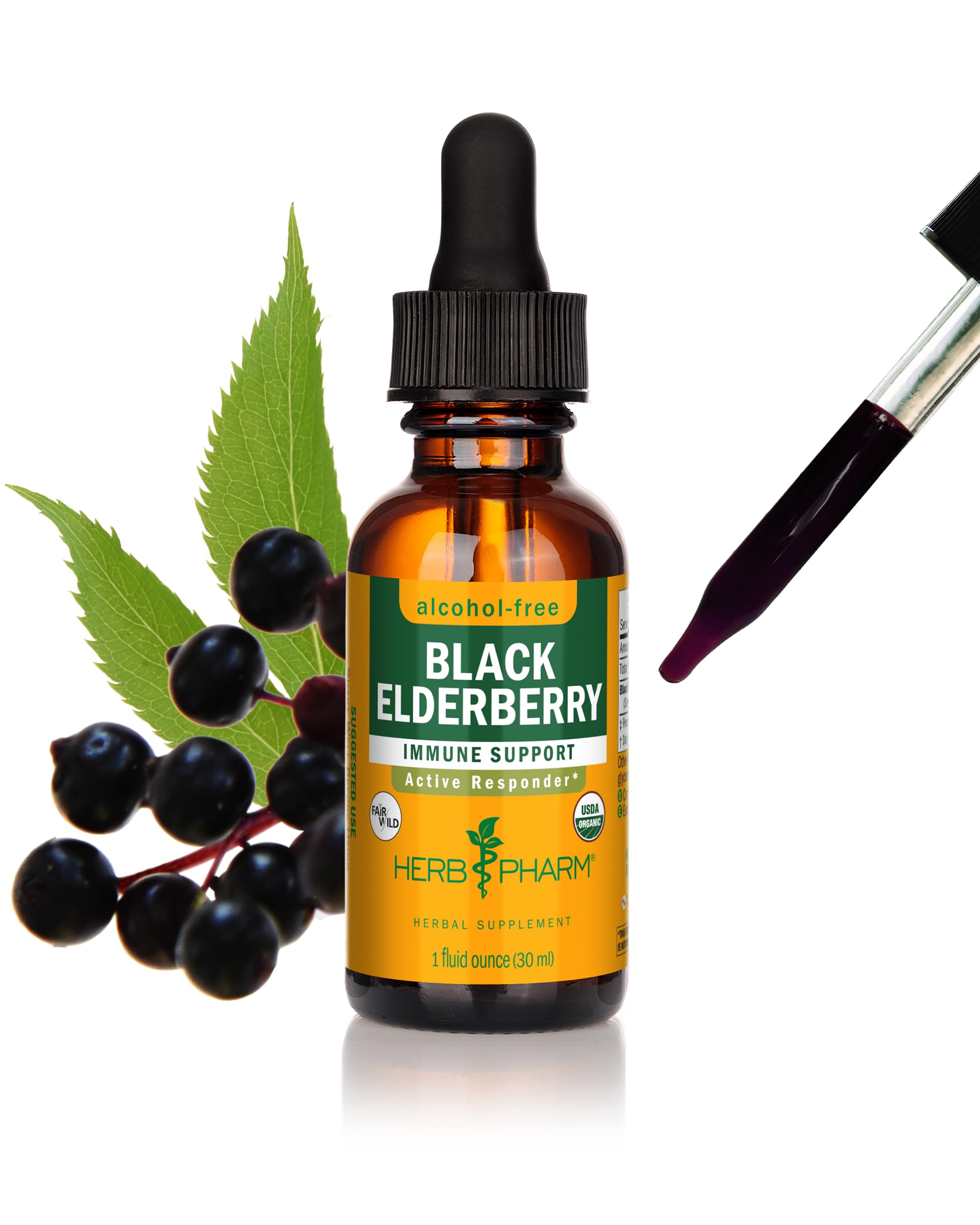 Herb Pharm Certified Organic Black Elderberry Liquid Extract for Immune System Support, Alcohol-Free Glycerite, 1 Ounce