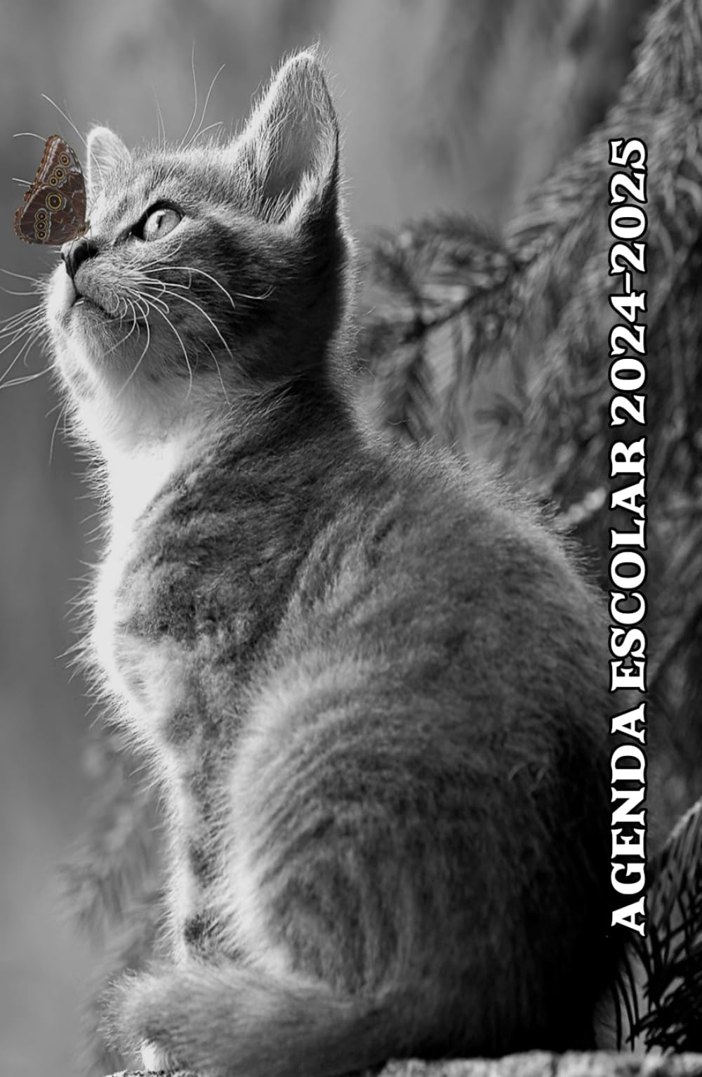 Agenda Escolar 2024 2025 Gatos: Planificador niño niña de primaria y secundaria | 2 Día = 1 Página | De Septiembre de 2024 a Agosto de 2025 | ... escolar | A5 (13,97 x 21,59 cm) | 215 Páginas