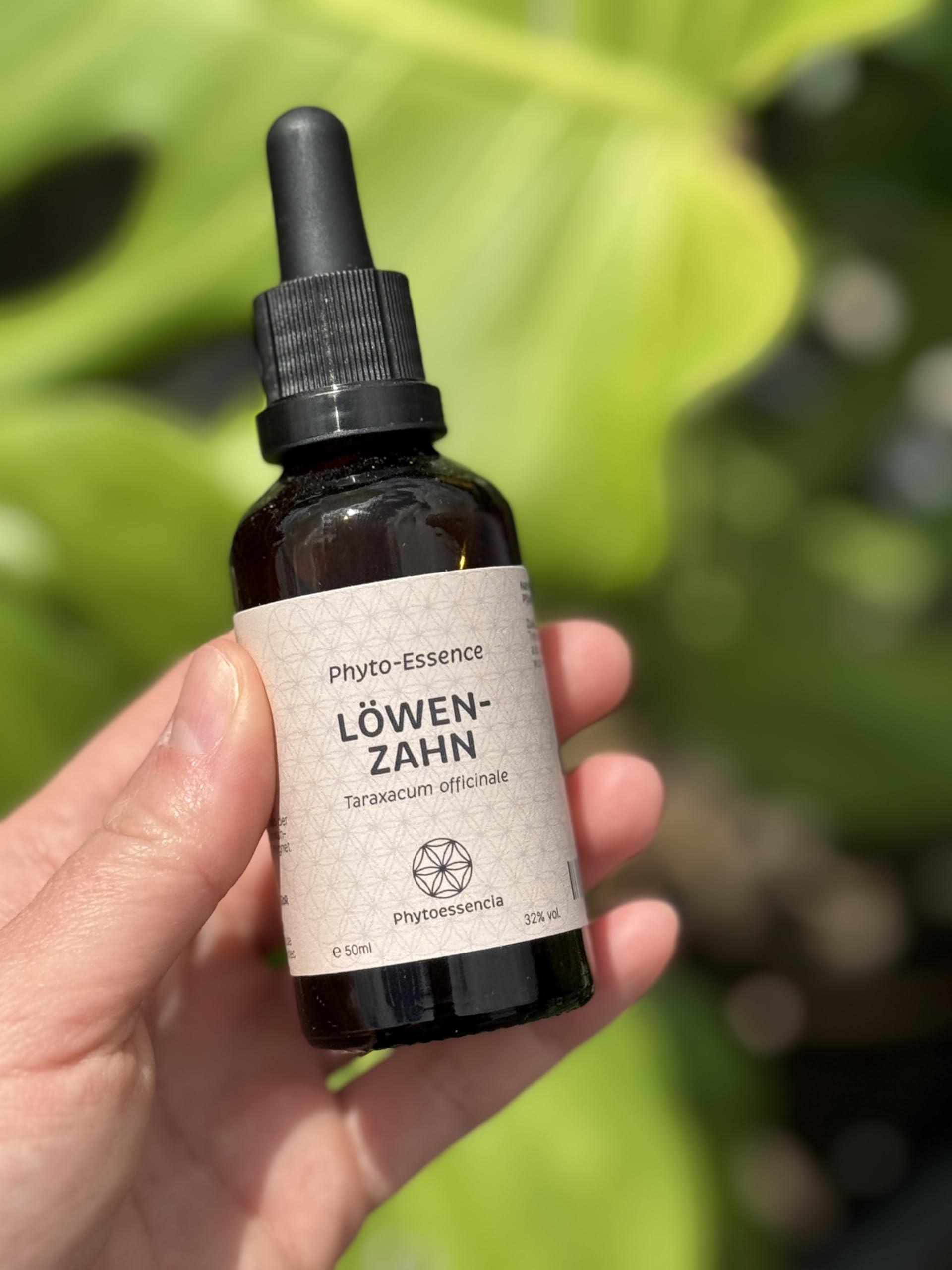 Löwenzahn Extrakt | Hochreiner Einzelextrakt aus Löwenzahnwurzel & -kraut | 100% natürlich, ohne Zusatzstoffe | hohe Bioverfügbarkeit | 50 ml
