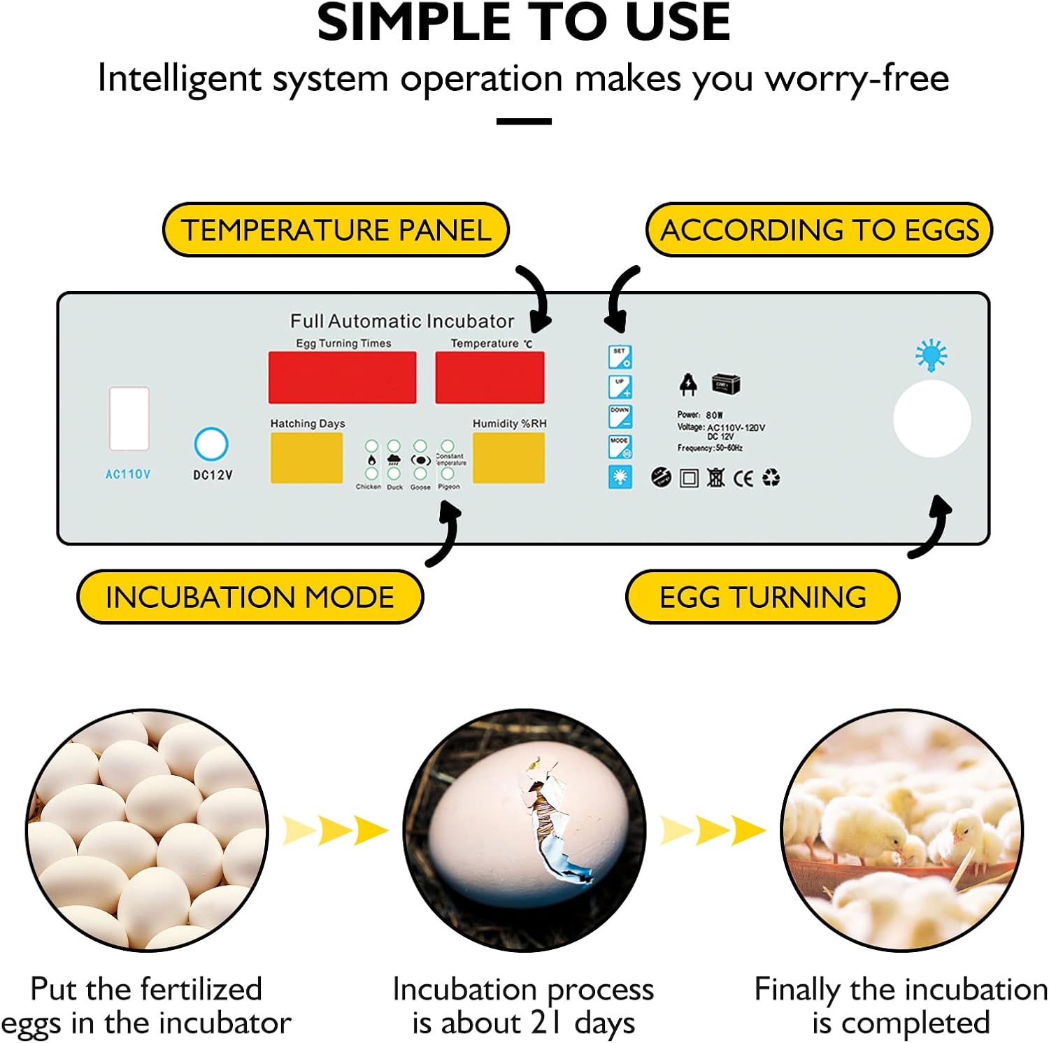 Egg Incubator - Egg Incubator with Automatic Egg Turning and Humidity Control,Large Poultry Hatcher for Chickens Birds Ducks (182 Eggs)