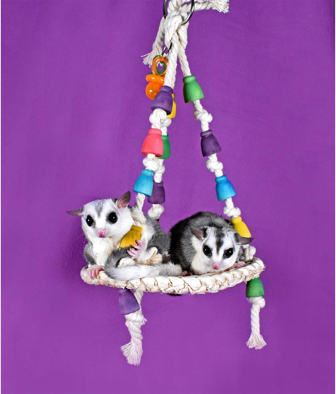 Jungle Canopy Toy Bundle - Colorful Interactive Climbing Forage Cage Accessory Toy Set - for Sugar Gliders, Rats, Ferrets, Hamsters, Squirrels, Parrots, Birds, Marmosets, Degus, Monkeys & Small Pets