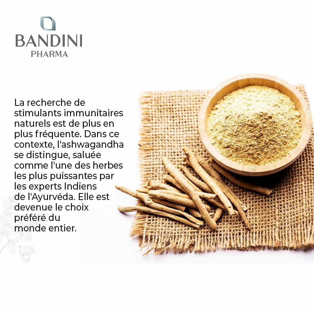 Bandini® Ashwagandha BIO KSM-66® Extra Fort - 500mg par dose, 5% de witanolides - 180 Gélules pour 6 mois - Poudre de Withania Somnifera 100% Végane - Bien-Être Physique & Mental, Tonus, Concentration