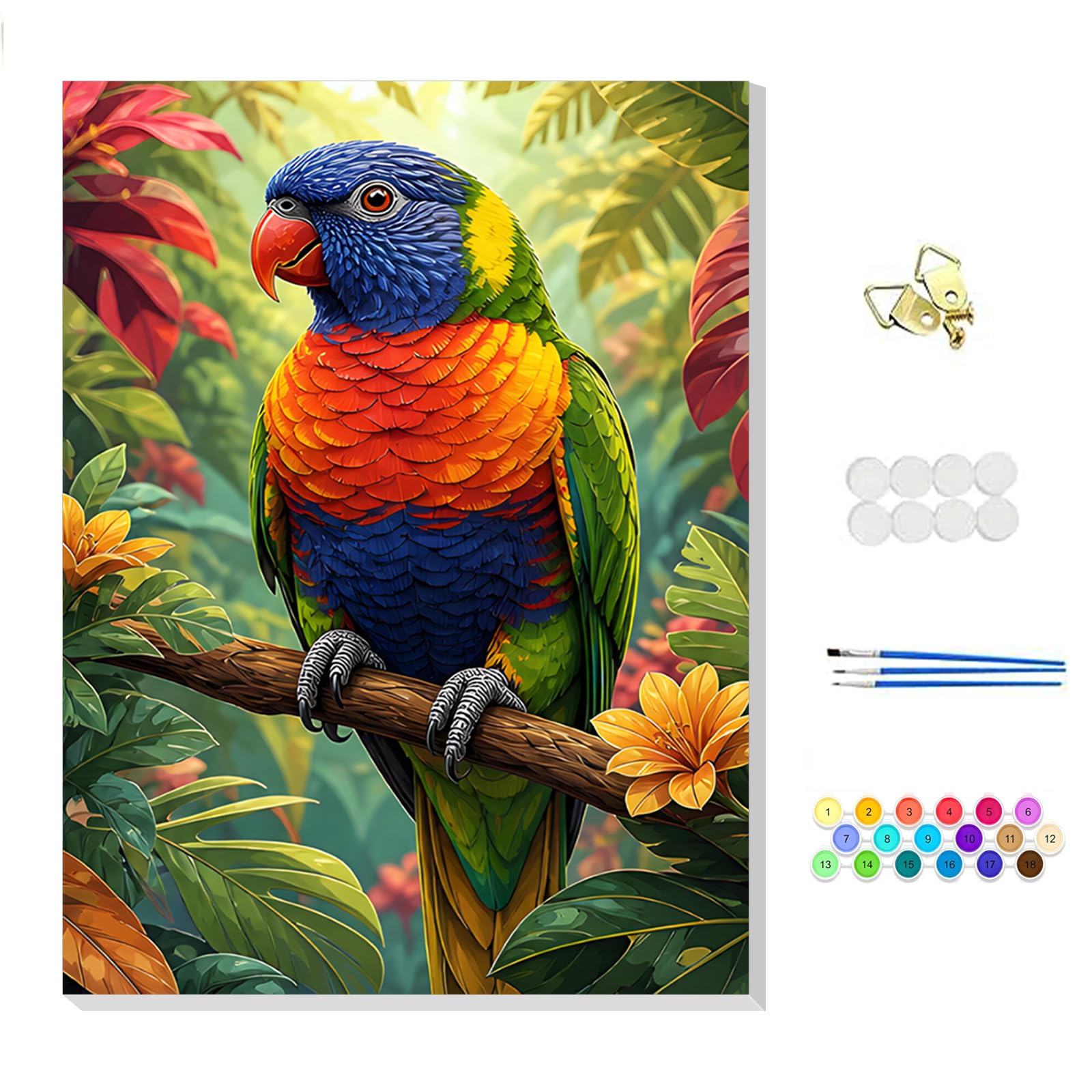 NEWENMO Colorful Parrot Paint by Numbers for Adults with Frame 20x30cm