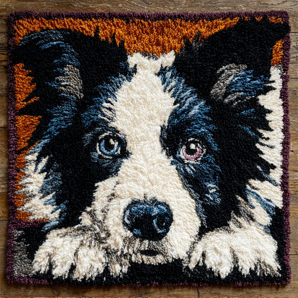 Rqwybcaxn Latch Hook Kit,Border Collie Dog Pet Latch Hook Kits for Adults DIY Decorative Pillowcase Embroidery Cross Stitch Arts Craft for Home Sofa Furniture 17X17Inch