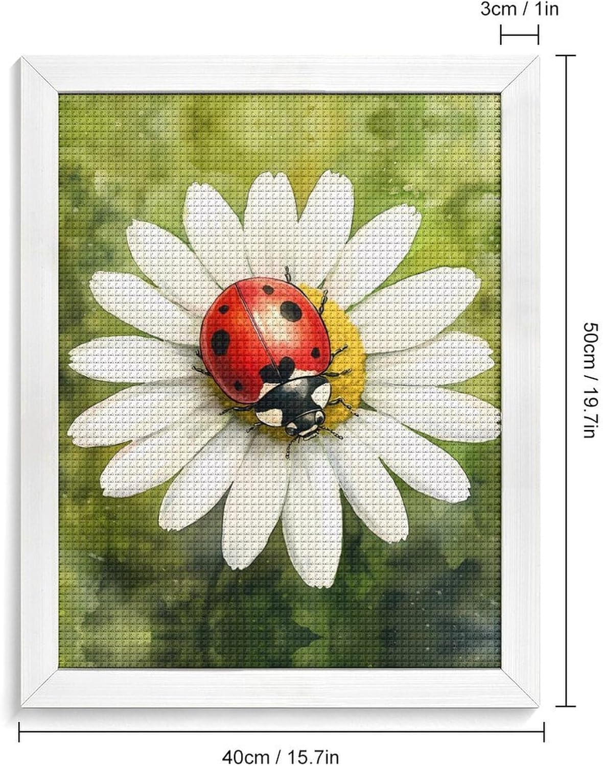 Daisy Ladybugs Watercolors Diamond 5D Painting Kits with Frame DIY Full Round Drill Gem Art Crafts for Home Wall Decor 16 X 20in White Wood 40 * 50cm