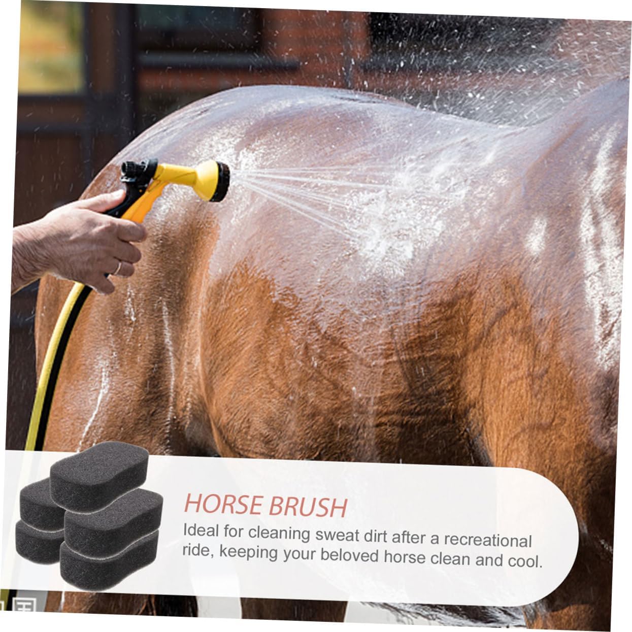 Sosoport 10pcs Horse Grooming Sponges and Safe Horse Cleaning Supplies for Bathing and Nursing Comfortable Grip for Coat Care and Massaging