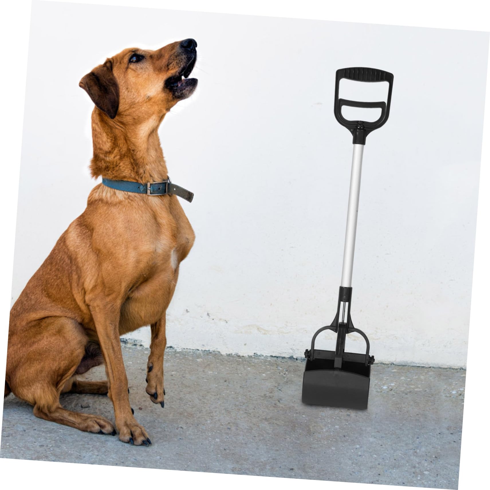 POPETPOP 1pezzi Raccoglitore Escrementi Animali Domestici Manico Lungo Paletta per Feci di Cane e Pinza per Escrementi di Gatto Strumento Portatile per Pulizia
