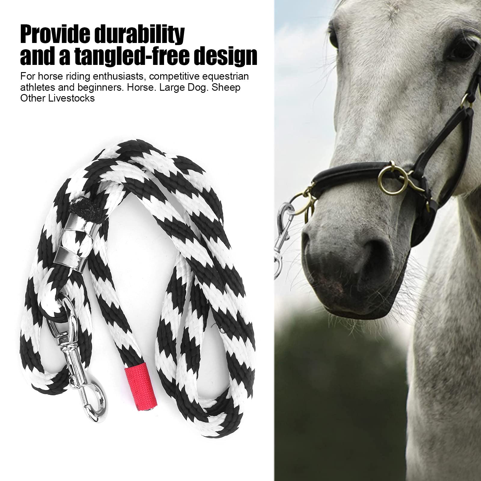 Guinzaglio Equestre Per Cavalli 2m - Corda Cotone Resistente Con Gancio, Rosso/nero - Foto 7