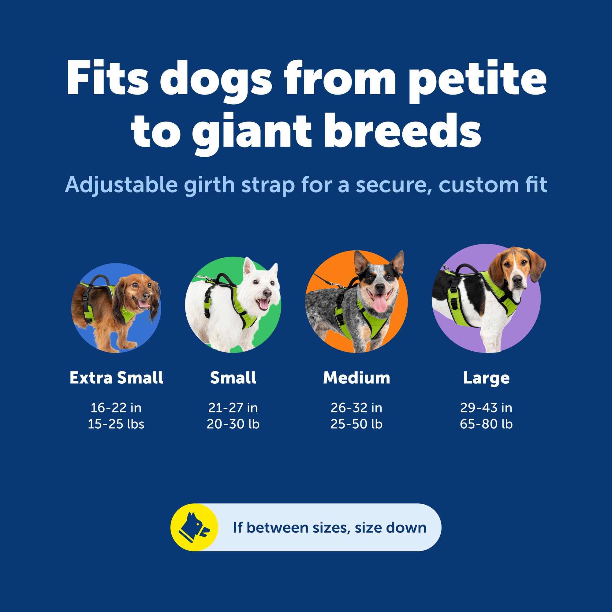 PetSafe EasySport, Pettorina per cani, pettorina regolabile imbottita con maniglia di controllo e bordino riflettente, L, nero