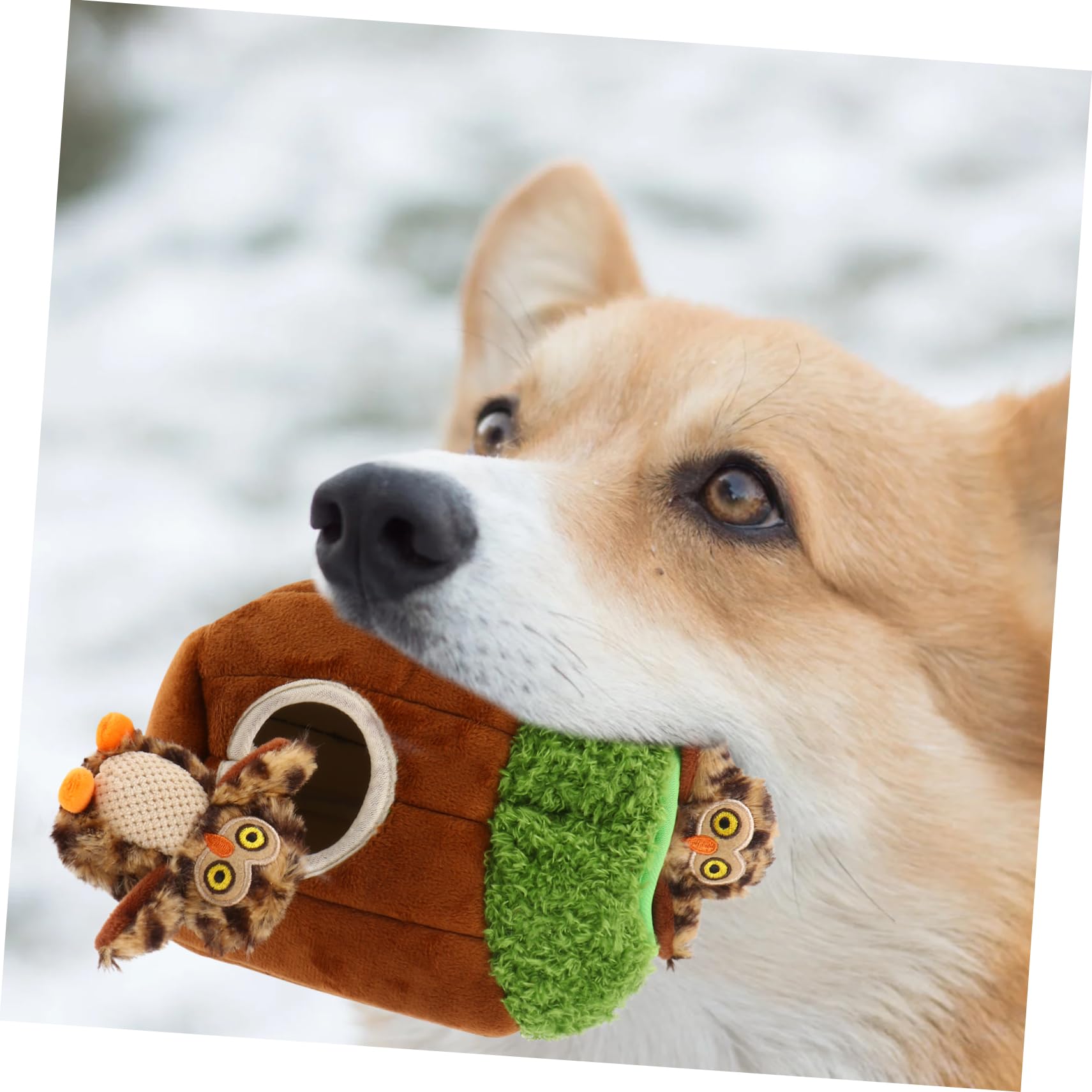 Jouet en Peluche pour Chien à Couinement, Lot de 4, Formes Animaux