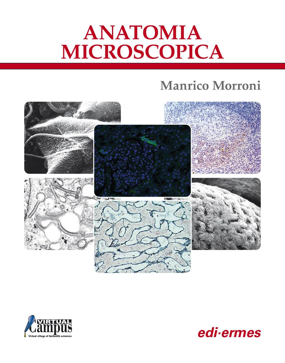 Anatomia microscopica