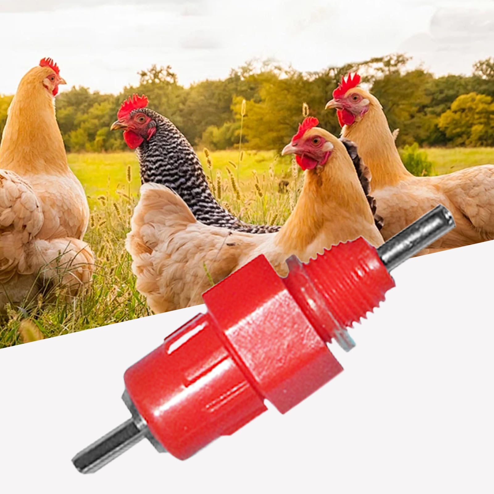 Abbeveratoio A Beccuccio Per Pollame - Capezzolo Per Acqua Per Galline,Fontana Bere Automatica Inossidabile Portatile Per Gabbie Uccelli Capre Conigli Paperi Polli Inverno Giardino
