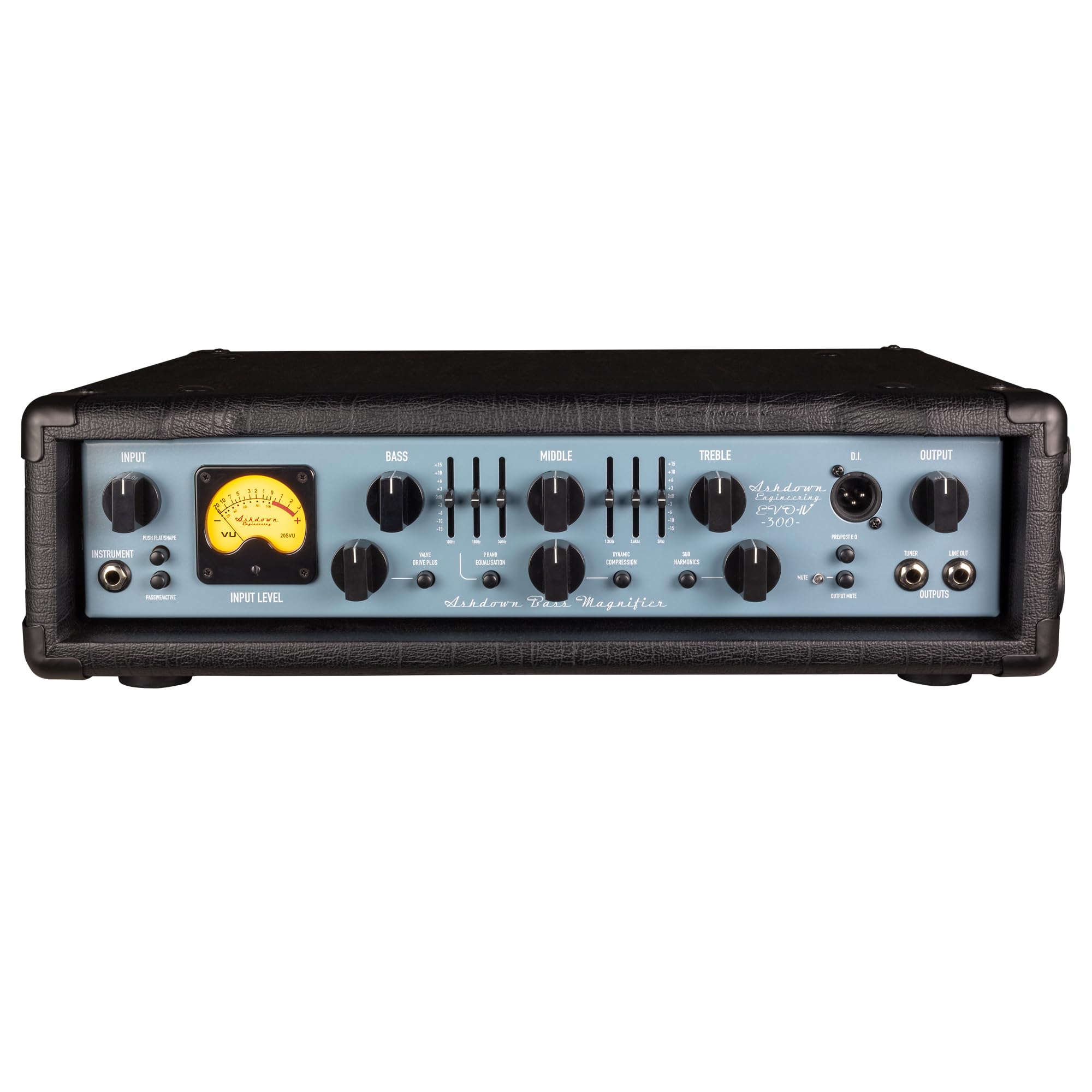 ABM-300-EVO IV 300-Watt Bass Head
