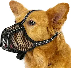 Focinheira de malha reflexiva para cães – focinheira ajustável de 23,9 a 28 cm, focinheira respirável macia permite respirar e beber para Beagle/Shiba Inu Husky