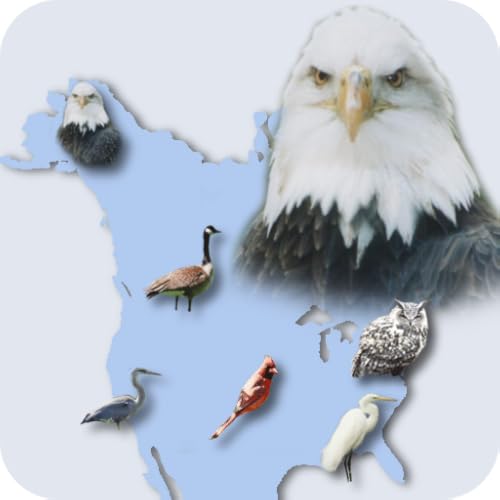 Happy Birding Journal - //medicalbooks.filipinodoctors.org