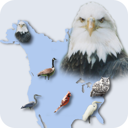 Happy Birding Journal