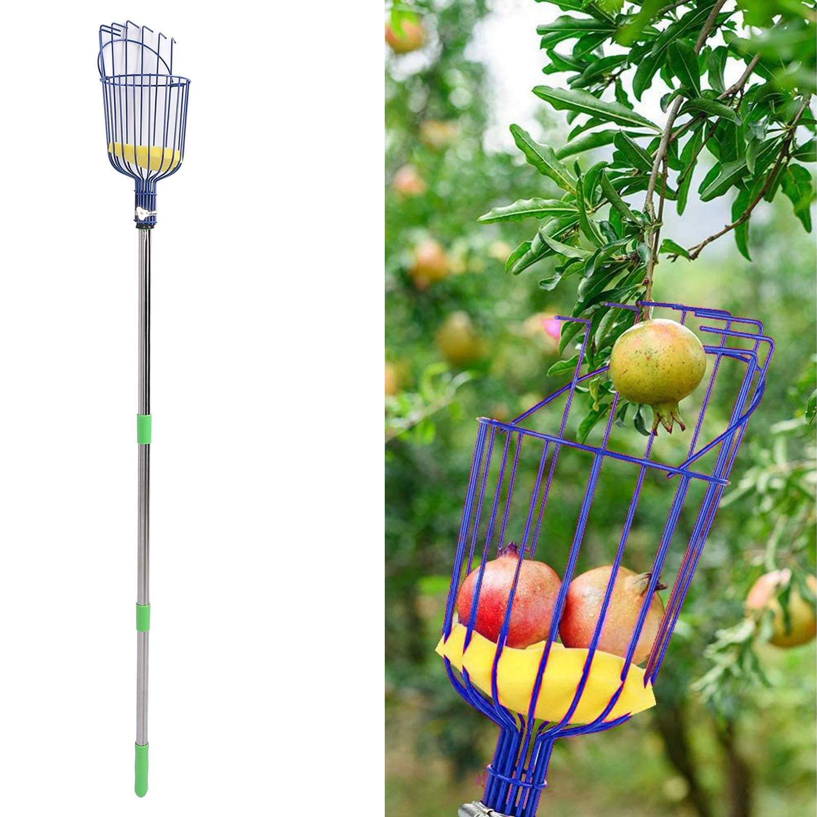 Yuecoom Fruit Picker Tool, with Basket, Telescoping Adjustable Handle, Lightweight Stainless Steel Fruit Picker for Apples, Oranges, Mangoes, Avocados, Pears Tree Picker
