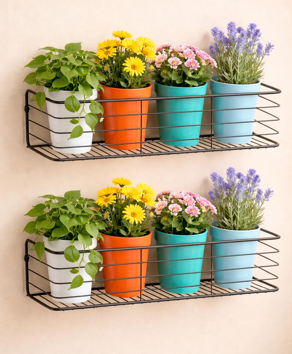 Wall Mounted Plant Stand (Pack of 2), Black Iron Wall Plant Holder / Wall Mounted Flower Pot Holder, Decorative Wall Planter Stand for Indoor Outdoor Balcony Garden-image-15
