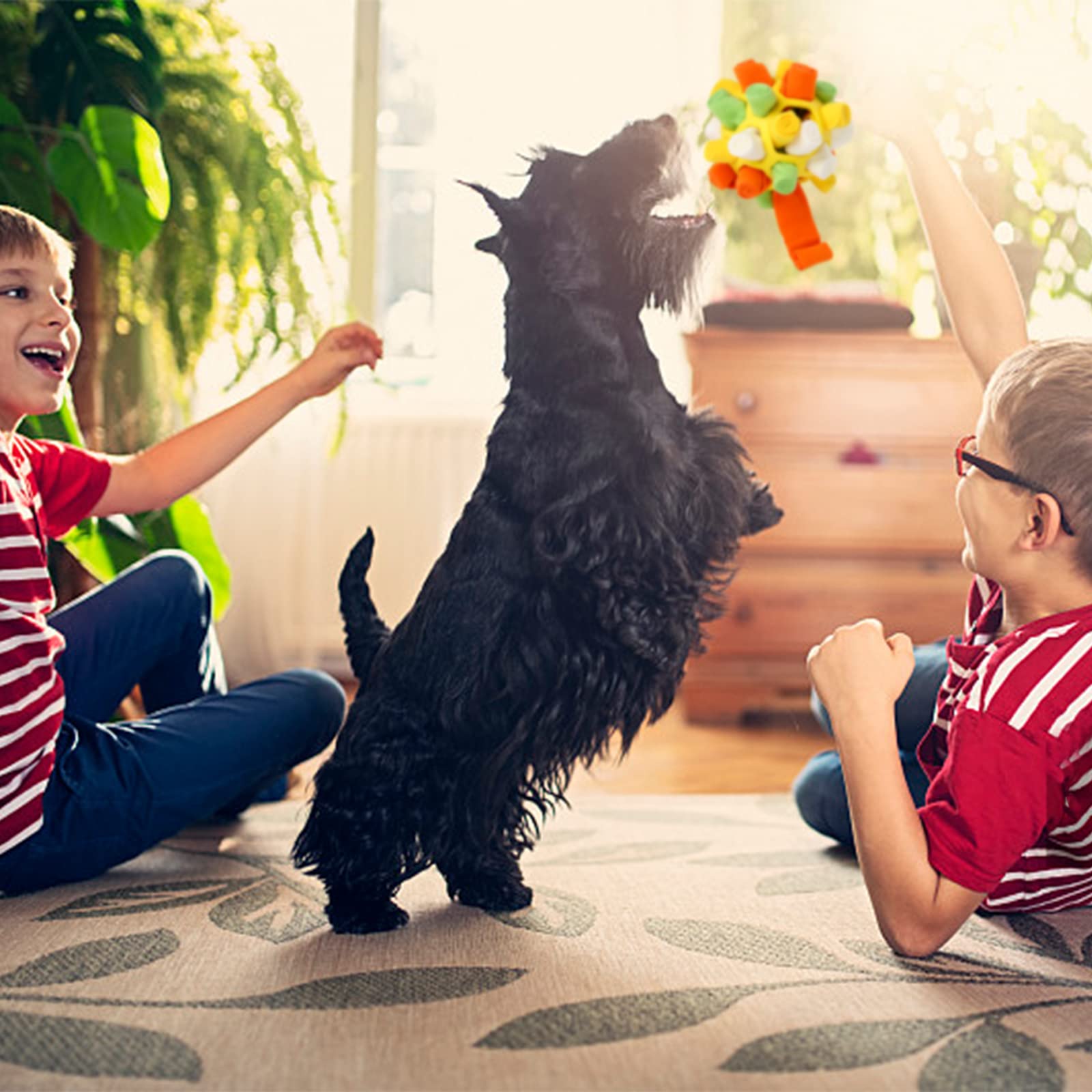 Jodsen Snuffelmat voor honden, interactief hondenspeelgoed, puzzelspeelgoed, voedermat, snuffelbal voor honden, natuurlijk foerageren, stimulatiespeelgoed voor kleine en middelgrote honden, geel
