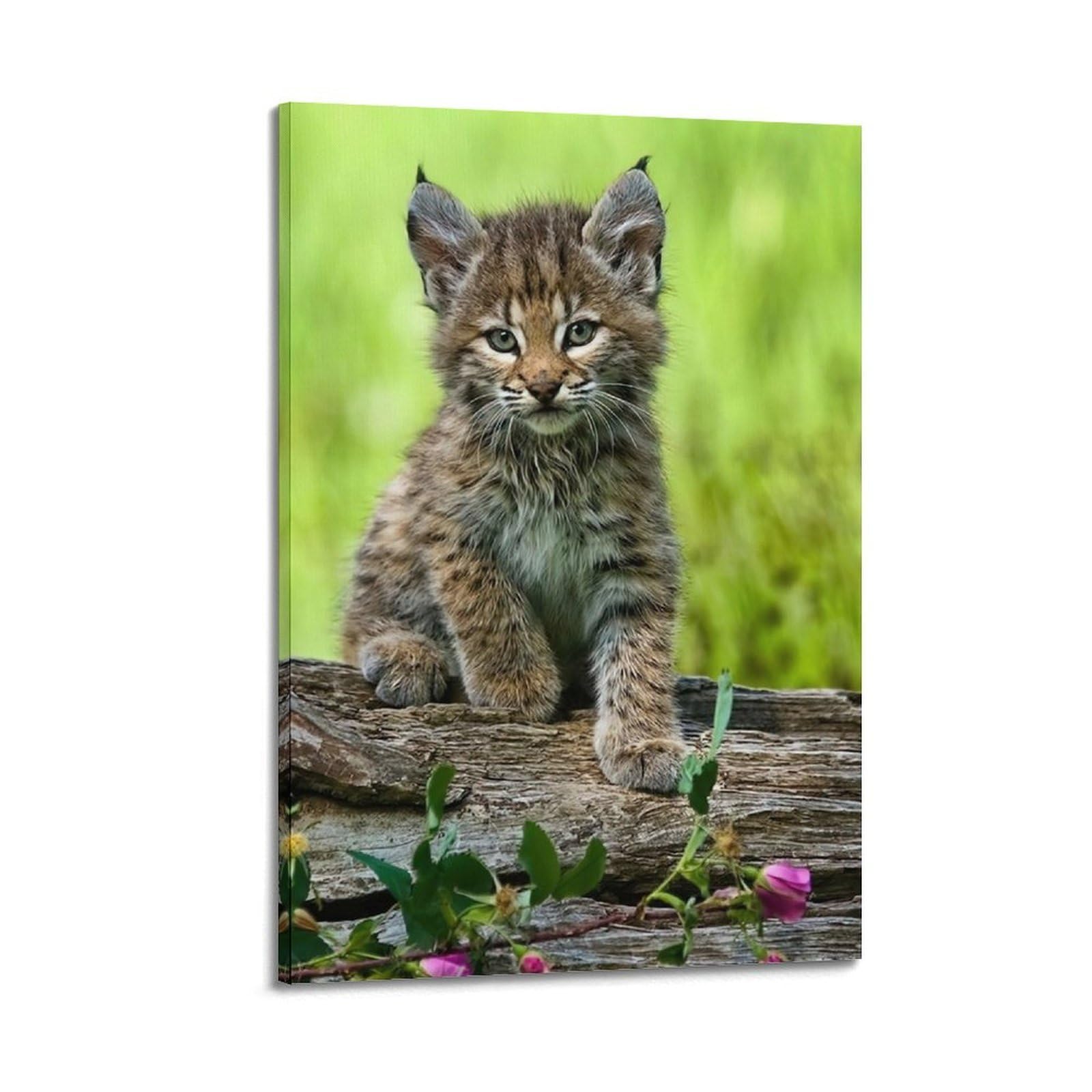 ZSZWHJ Animal Poster Bobtail Cat Poster Decorative Painting Canvas Wall Posters And Art Picture Print Modern Family Bedroom Decor Posters 20x30inch(50x75cm)